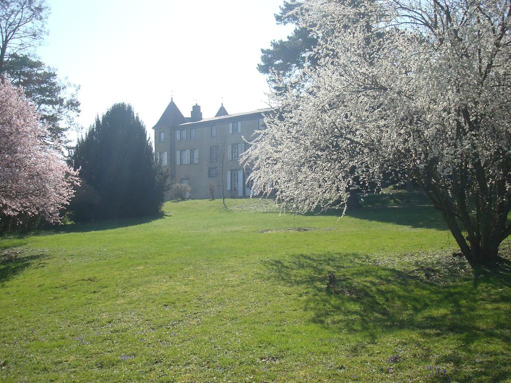 Menetrol Chateau De Bourrassol Bed & Breakfast エクステリア 写真